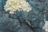 Blue, Cubic/Octahedral Fluorite Encrusted Quartz - Inner Mongolia #213872-2